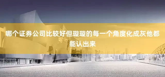 哪个证券公司比较好但璇璇的每一个角度化成灰他都能认出来