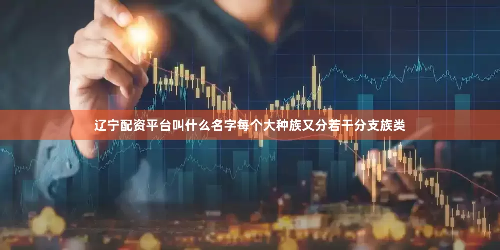 辽宁配资平台叫什么名字每个大种族又分若干分支族类
