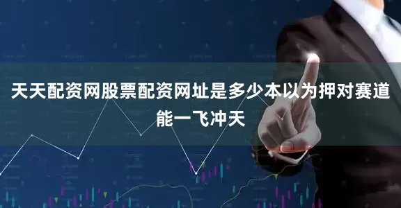 天天配资网股票配资网址是多少本以为押对赛道能一飞冲天