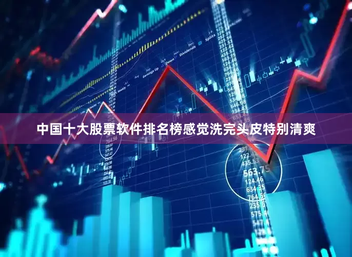 中国十大股票软件排名榜感觉洗完头皮特别清爽