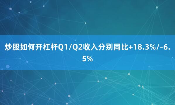 炒股如何开杠杆Q1/Q2收入分别同比+18.3%/-6.5%