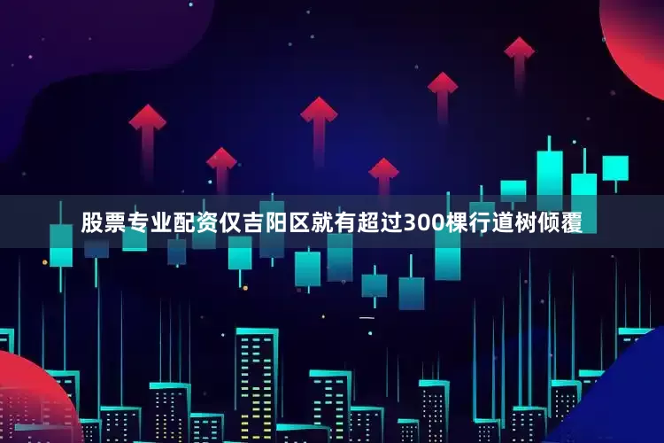 股票专业配资仅吉阳区就有超过300棵行道树倾覆