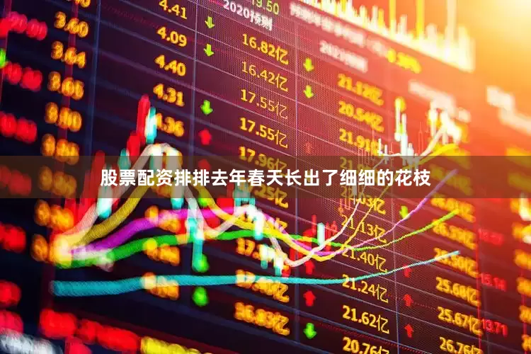 股票配资排排去年春天长出了细细的花枝